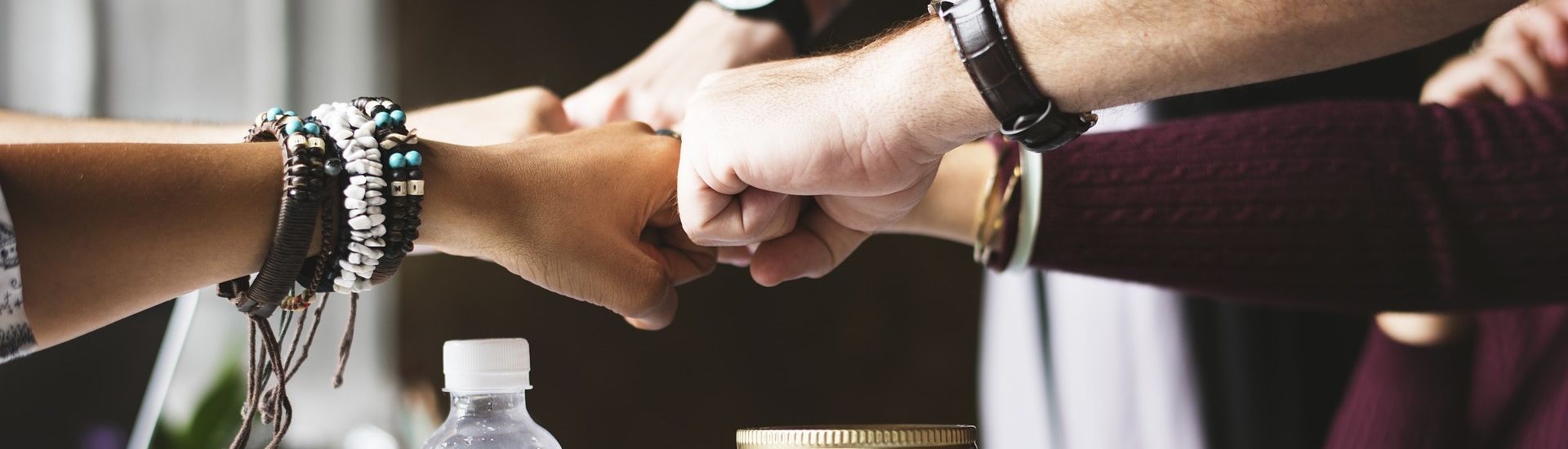 Abacus GmbH, Distribution Partner